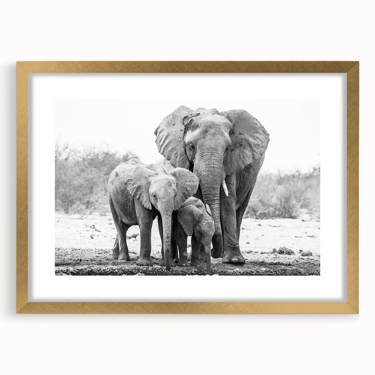 Framed wall art featuring a majestic elephant design in gold and black, set against a textured background, ideal for wildlife enthusiasts and home decor.