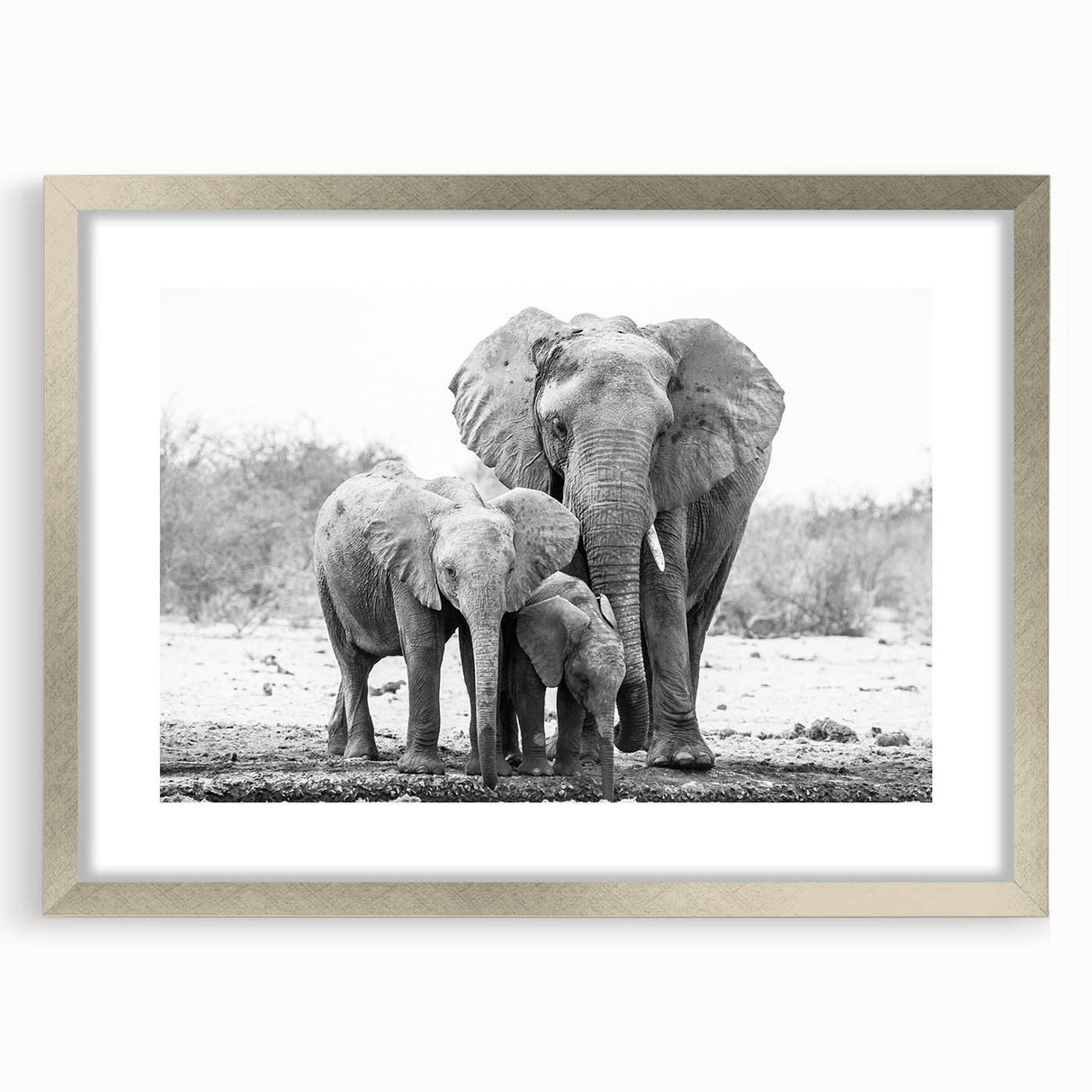 Silver-framed wall art featuring a stunning elephant design, part of the Animals A Wild Life collection, showcasing intricate details and a modern aesthetic. Ideal for nature lovers and home decor enthusiasts.