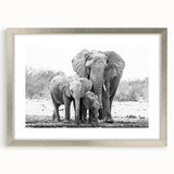 Silver-framed wall art featuring a stunning elephant design, part of the Animals A Wild Life collection, showcasing intricate details and a modern aesthetic. Ideal for nature lovers and home decor enthusiasts.