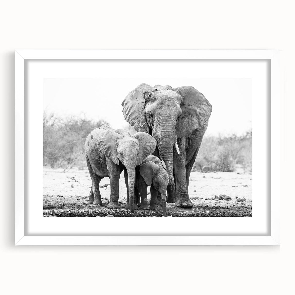 Elephant-themed wall art framed in white, showcasing a vibrant design that captures the majestic wildlife of Africa, ideal for home décor and animal lovers.