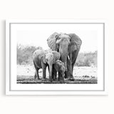 Elephant-themed wall art framed in white, showcasing a vibrant design that captures the majestic wildlife of Africa, ideal for home décor and animal lovers.