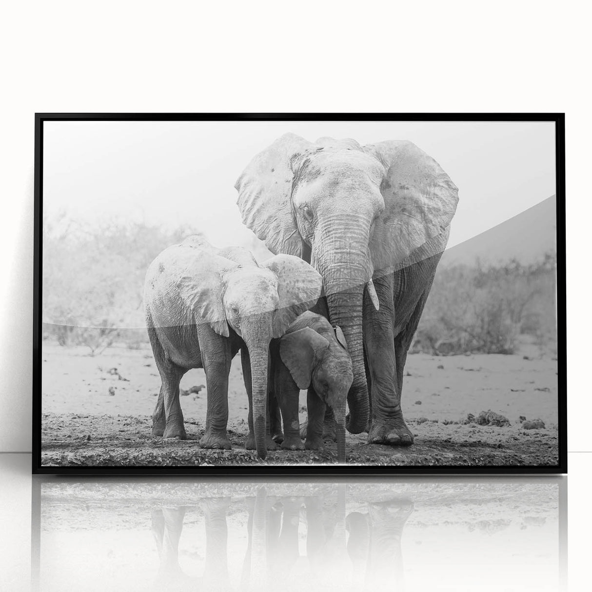 Framed wall art showcasing a striking black and white elephant design, set against a sleek acrylic background, perfect for enhancing modern home decor.