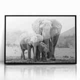 Framed wall art showcasing a striking black and white elephant design, set against a sleek acrylic background, perfect for enhancing modern home decor.