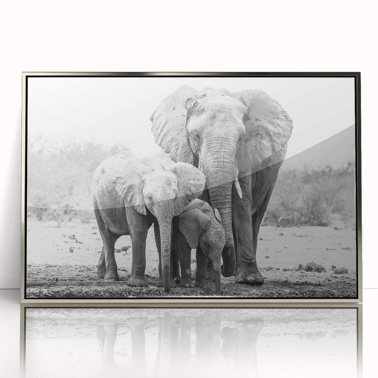 Framed acrylic wall art showcasing a striking silver-front view of an elephant design, ideal for nature lovers and home decor enthusiasts. Perfect for enhancing living spaces with a touch of wildlife elegance.