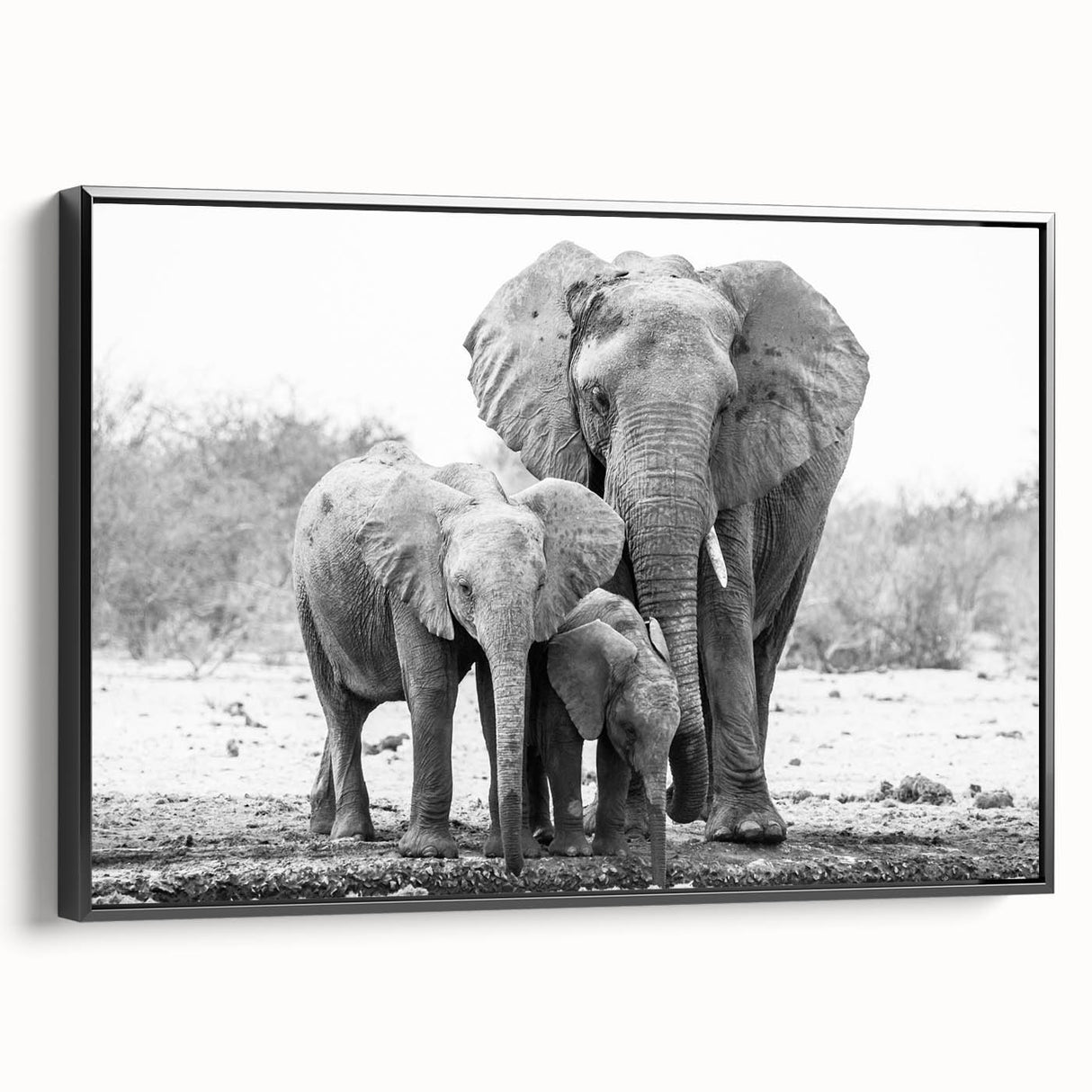 Framed canvas wall art featuring a striking black side view of an elephant, showcasing intricate details and textures, perfect for wildlife enthusiasts and home decor.