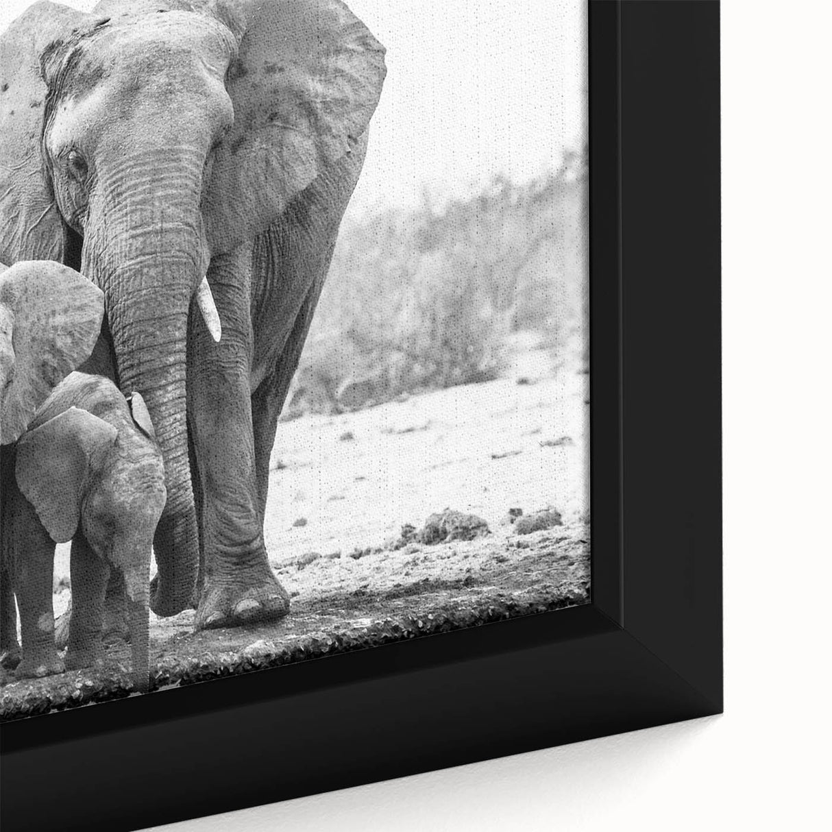 Close-up of a framed canvas wall art featuring a majestic African elephant, highlighting intricate textures and colors, perfect for wildlife enthusiasts and home decor.