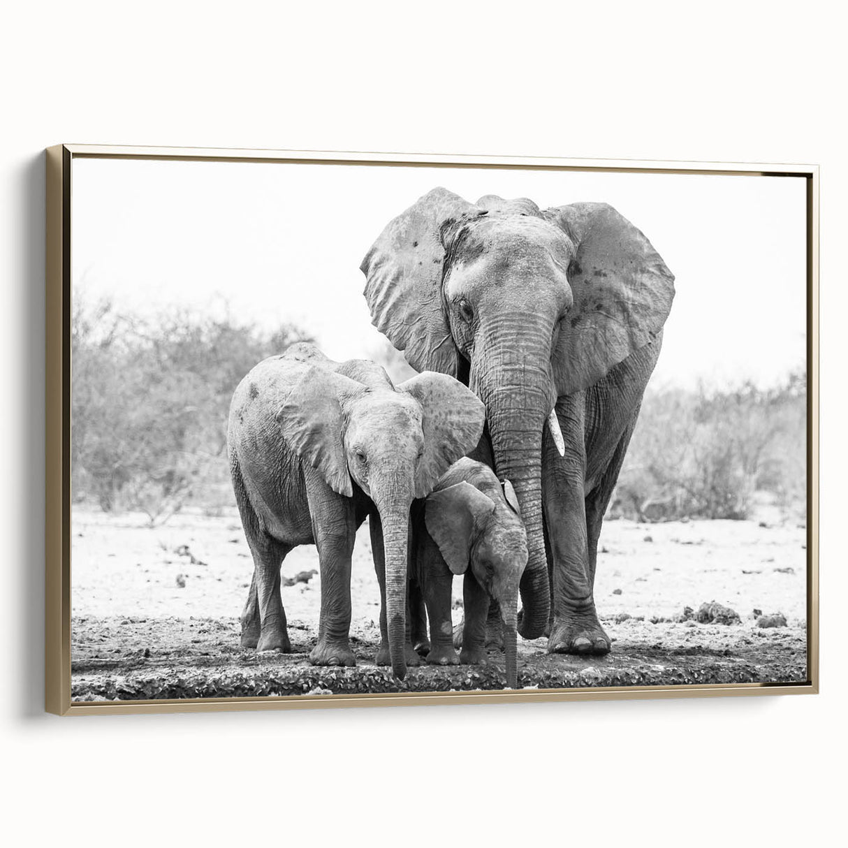 Framed canvas wall art showcasing a majestic side view of an elephant, adorned with intricate gold accents, perfect for wildlife enthusiasts and home decor.