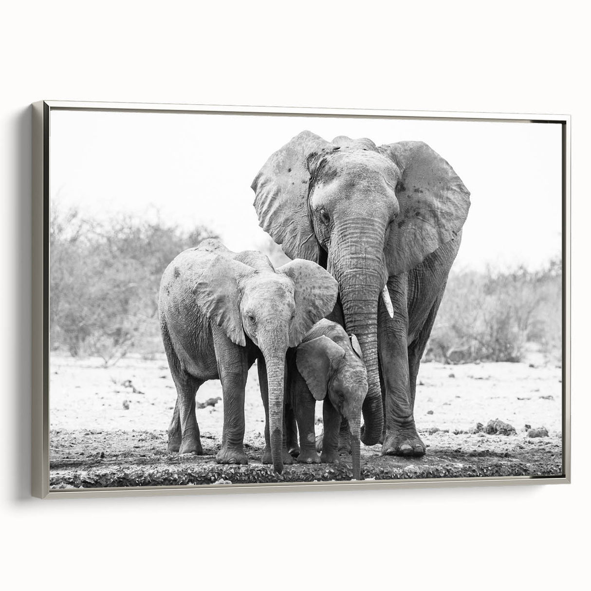 Framed canvas wall art showcasing a silver-toned, side view of a majestic elephant, perfect for adding a touch of wildlife elegance to any room decor.
