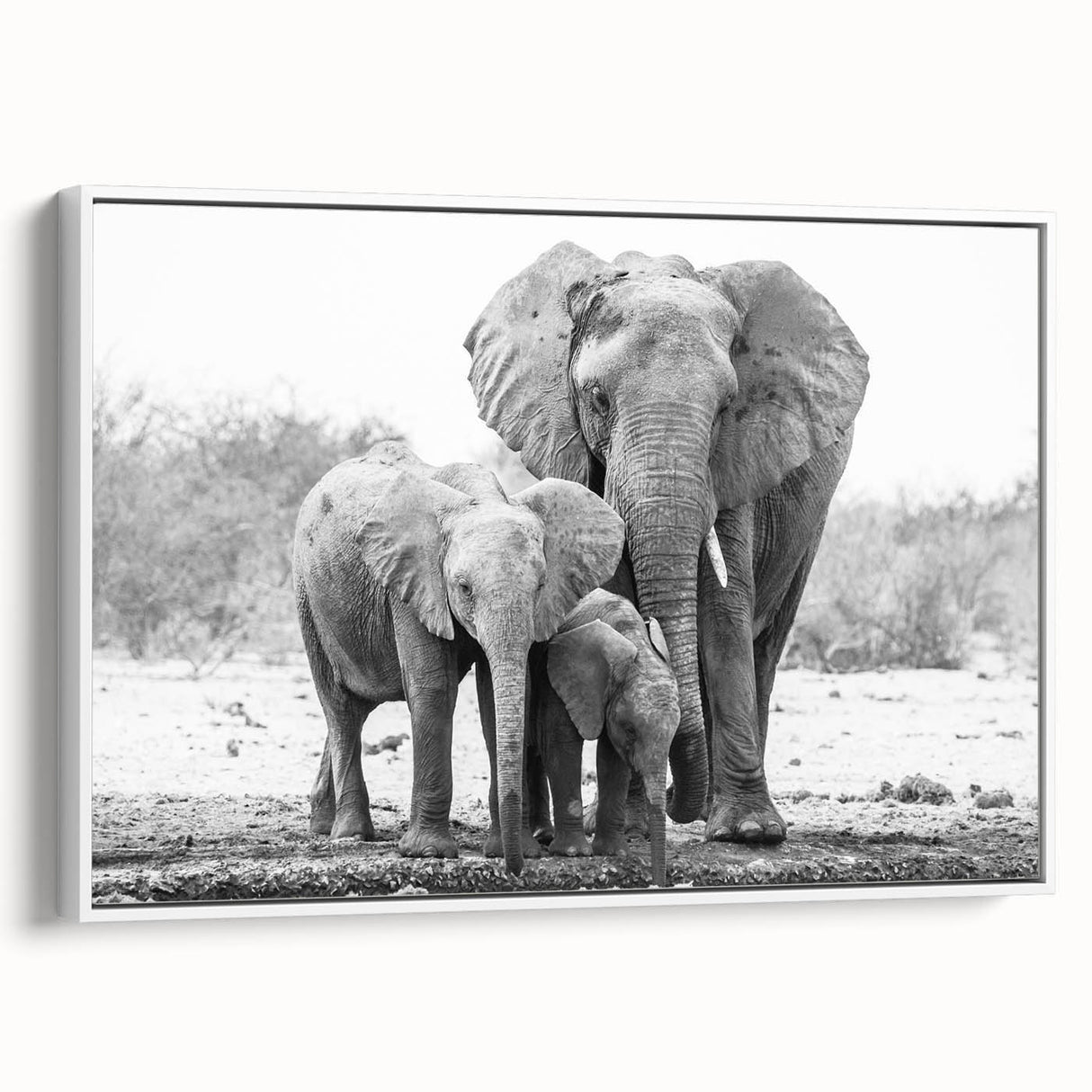 Framed canvas wall art featuring an elegant side view of an African elephant, showcasing intricate details and a serene color palette, perfect for wildlife decor.