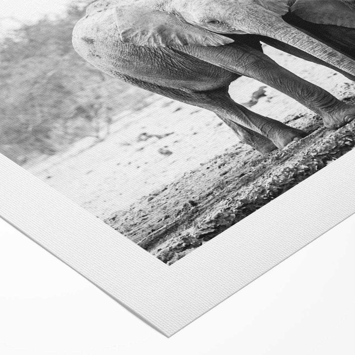 Elephant-themed wall art on rolled canvas, showcasing a vibrant design with intricate details, perfect for adding a touch of wildlife decor to any space.