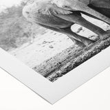 Elephant-themed wall art on rolled canvas, showcasing a vibrant design with intricate details, perfect for adding a touch of wildlife decor to any space.