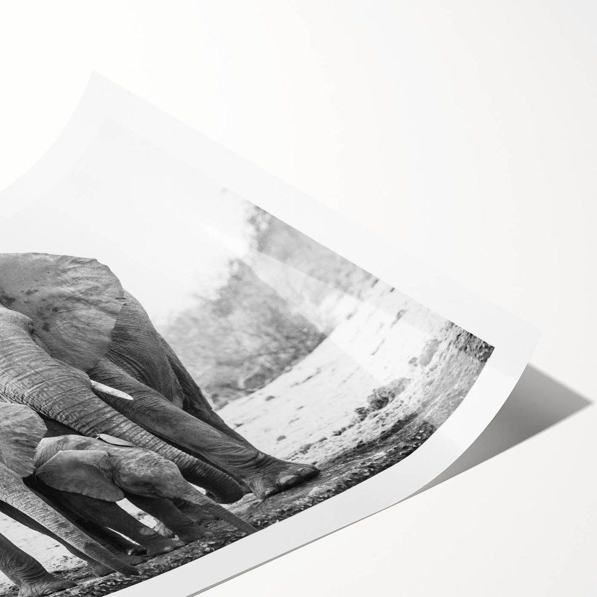 Elephant-themed wall art print showcasing a vibrant, colorful design with intricate patterns and textures, ideal for home decor and wildlife enthusiasts.