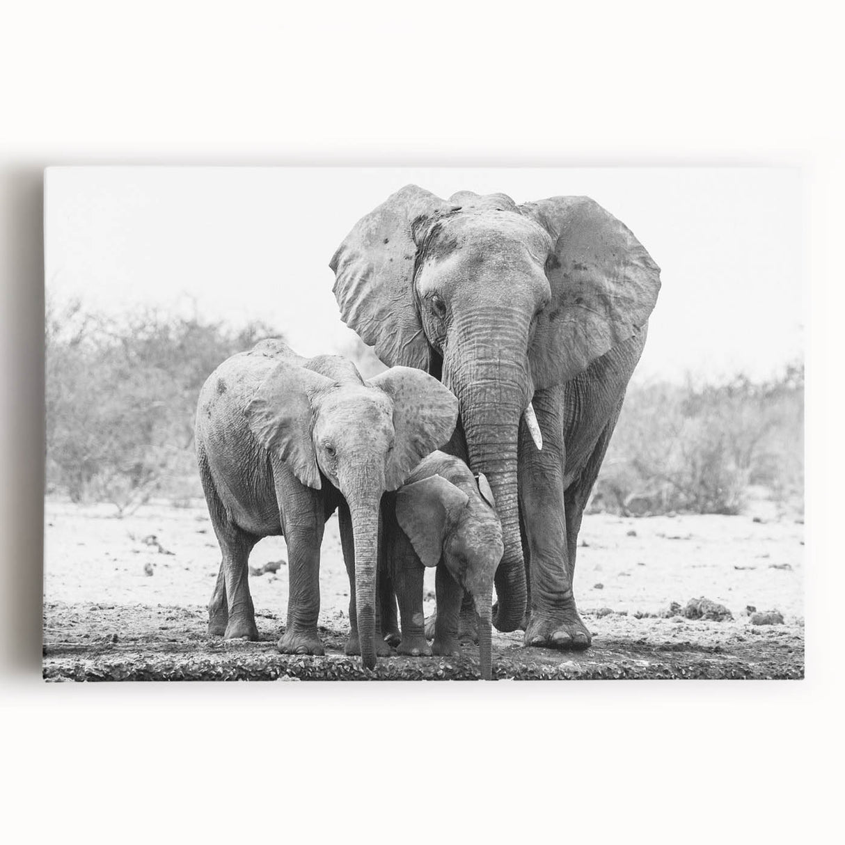 Stretched canvas wall art featuring a majestic elephant design in vibrant colors, perfect for adding a touch of wildlife elegance to any interior space.