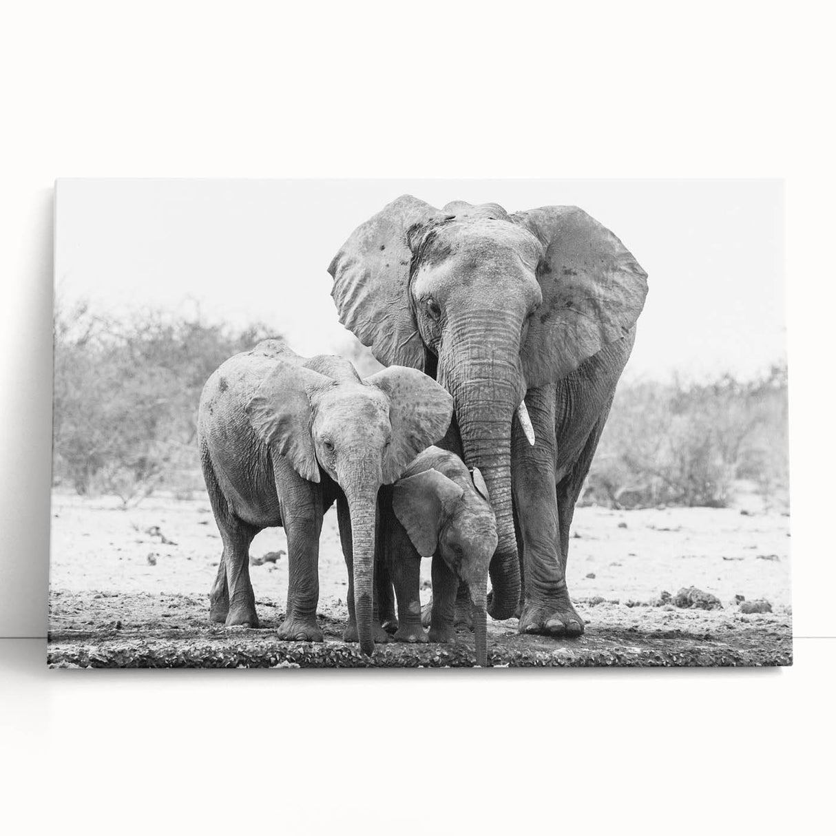 Stretched canvas wall art featuring a majestic elephant design, showcasing intricate details and natural colors, perfect for wildlife enthusiasts and home decor.