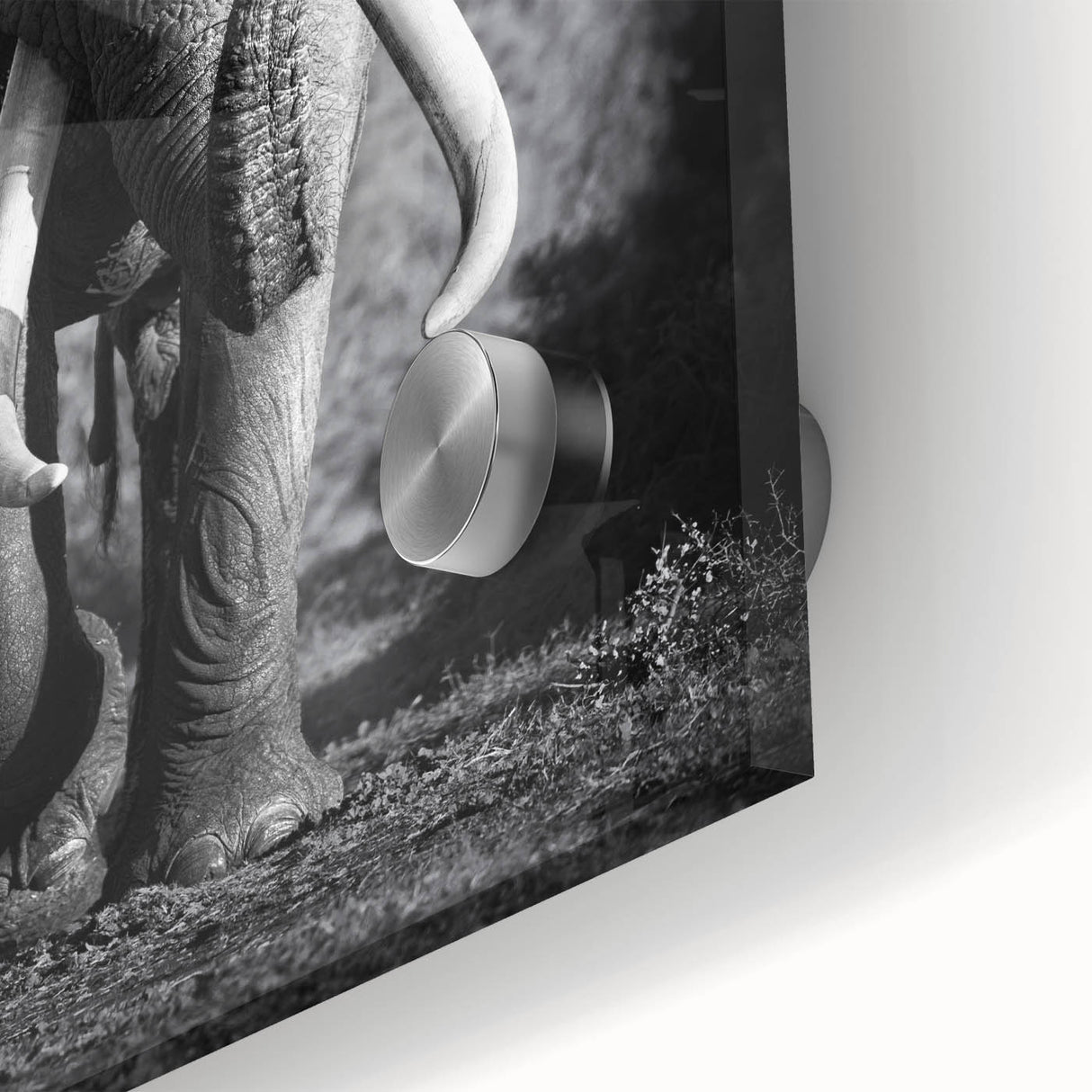 Close-up of an acrylic glass wall art piece showcasing a stunning elephant design, featuring vibrant colors and intricate details, ideal for wildlife enthusiasts and home decor.