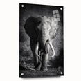 Acrylic wall art featuring a side view of a majestic elephant, showcasing intricate design details and vibrant colors, perfect for wildlife enthusiasts' decor.