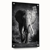 Acrylic wall art featuring a side view of a majestic elephant, showcasing intricate design details and vibrant colors, perfect for wildlife enthusiasts' decor.