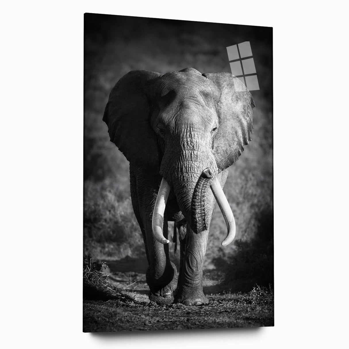 Acrylic wall art featuring a side view of a majestic elephant, showcasing intricate details and vibrant colors, ideal for wildlife enthusiasts and home decor.