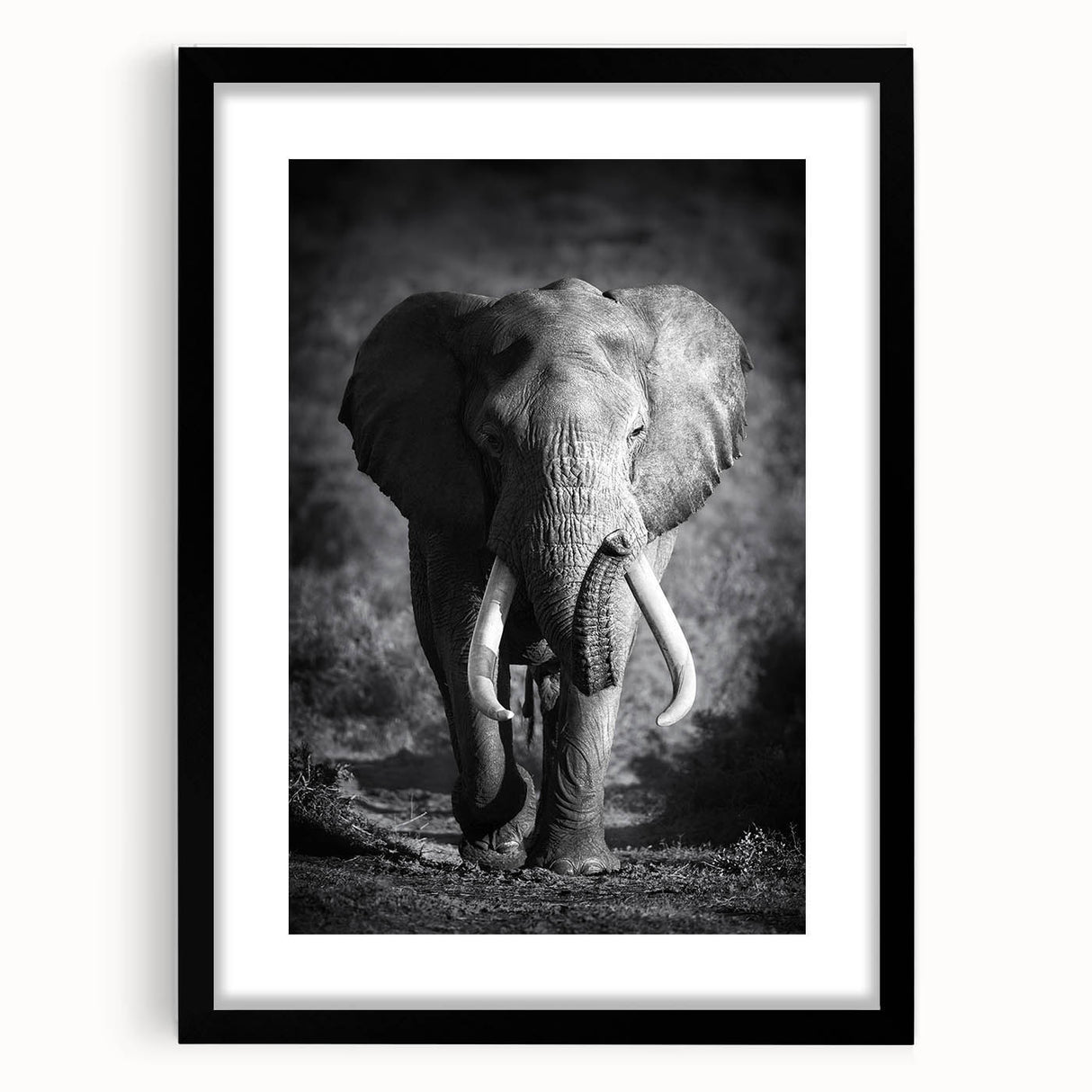 Black-framed wall art featuring a detailed illustration of an elephant, showcasing intricate lines and textures, perfect for wildlife enthusiasts and modern decor.