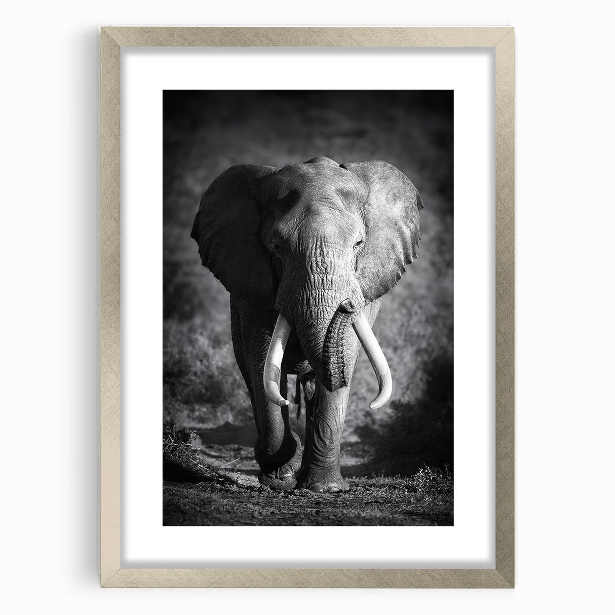 Framed wall art featuring a majestic elephant design in silver, showcasing intricate details and textures, perfect for wildlife enthusiasts and home decor.