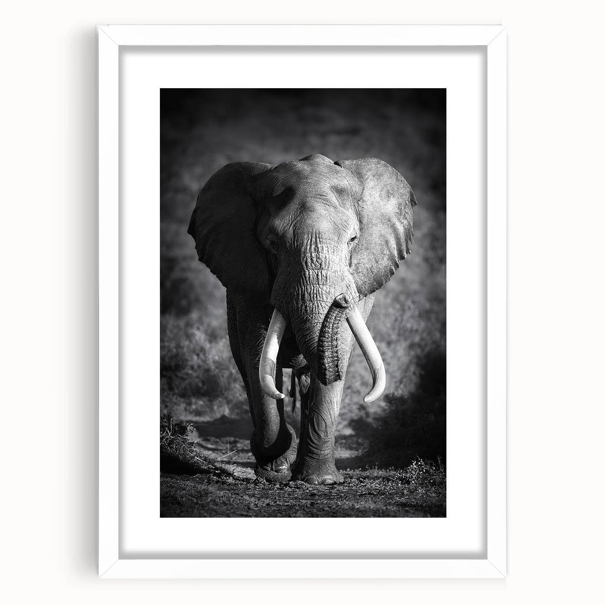 Framed wall art featuring a majestic grey elephant design on a white mat, set in a sleek black frame, perfect for wildlife enthusiasts and home decor.