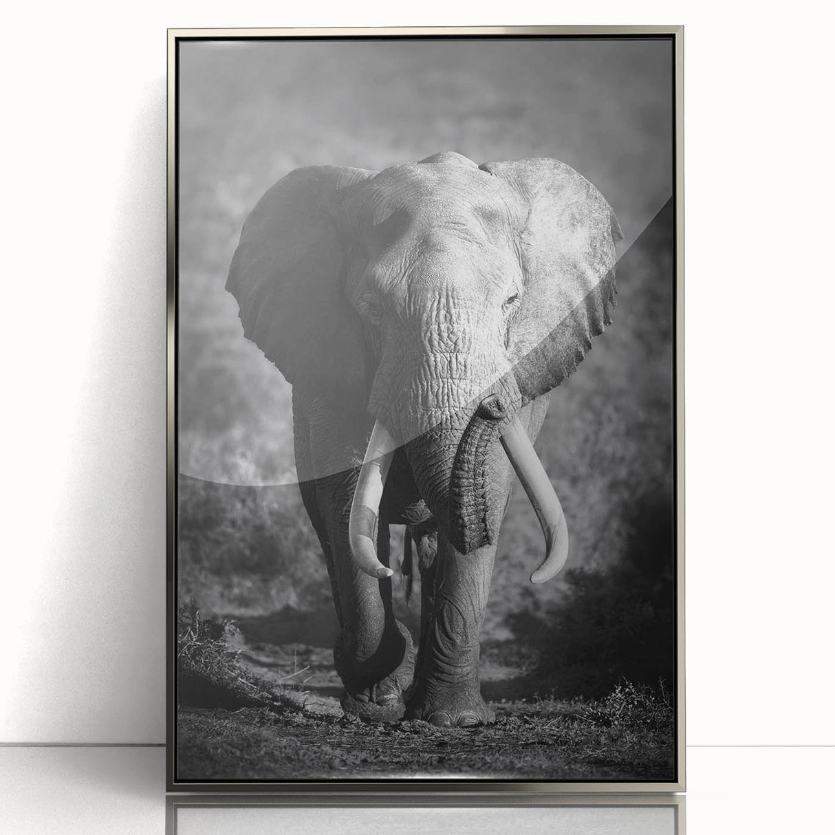 Framed acrylic wall art featuring a striking design of an elephant, capturing its majestic presence with vibrant colors and intricate details, ideal for wildlife enthusiasts.