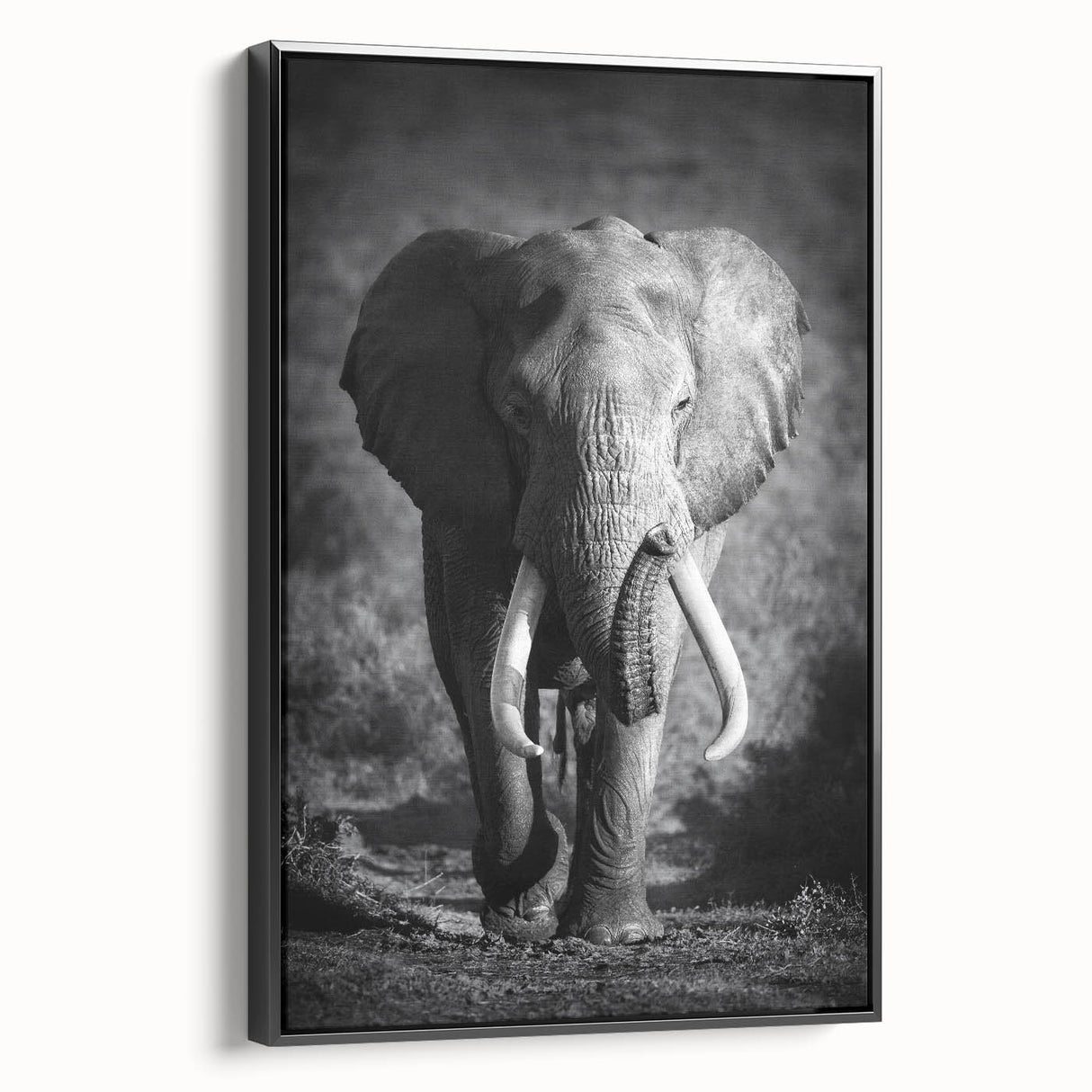 Framed canvas wall art featuring a realistic black and white side view of an elephant, set against a minimalistic background, perfect for nature-themed decor.