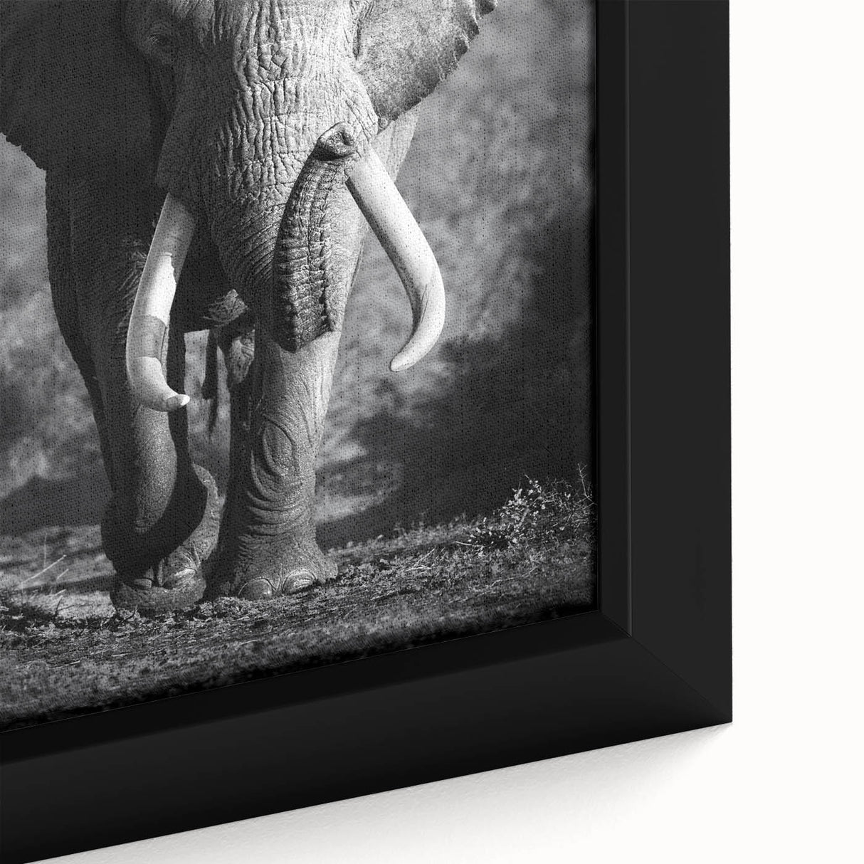 Close-up of a framed canvas wall art featuring a majestic elephant design in vibrant colors, highlighting its intricate textures and details for a captivating wildlife decor piece.