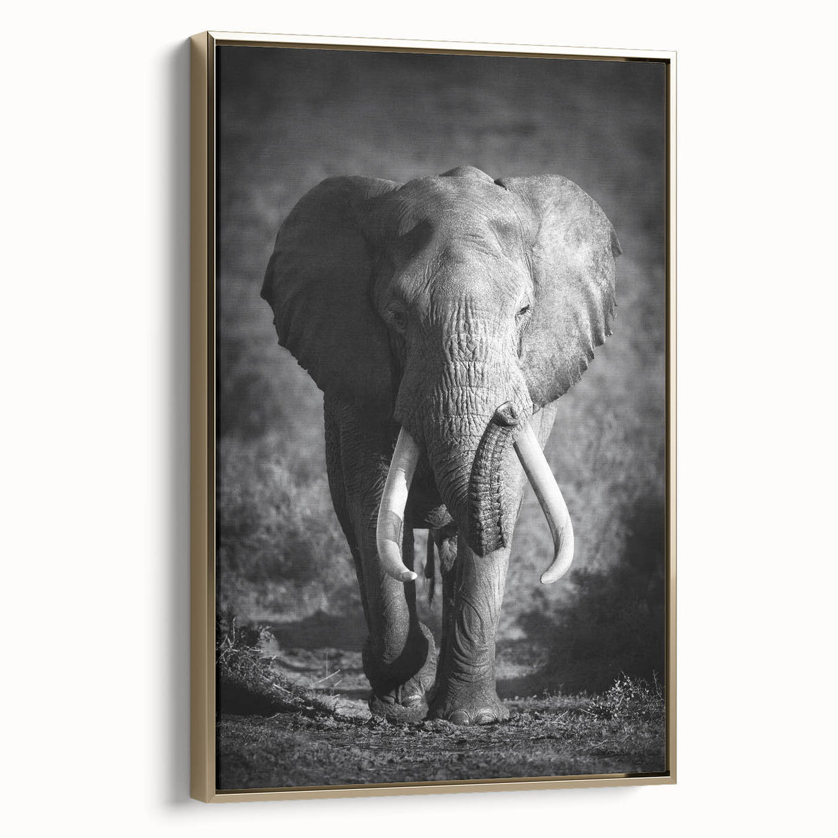 Framed canvas wall art showcasing a majestic side view of an elephant, designed with intricate gold accents, perfect for nature-themed home decor.