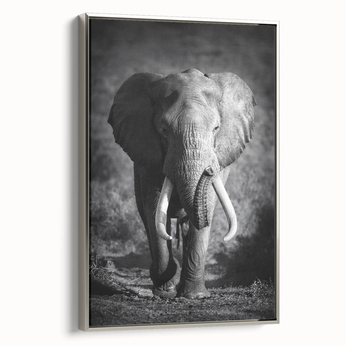 Framed canvas wall art showcasing a side view of a majestic elephant, featuring intricate details and a silver border, perfect for wildlife enthusiasts' decor.