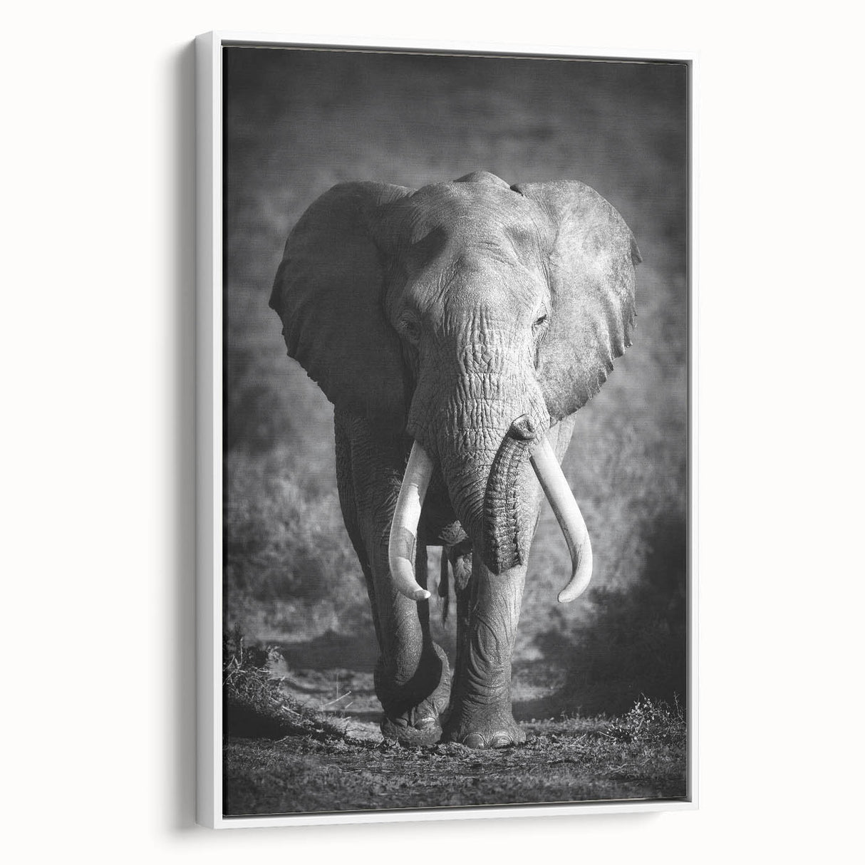 Framed canvas wall art featuring a side view of a majestic elephant design, set against a white background, ideal for animal lovers and home decor enthusiasts.