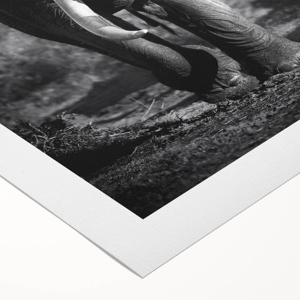 Vibrant rolled canvas featuring a striking elephant design, showcasing intricate details and rich colors, perfect for wildlife art enthusiasts and home decor.