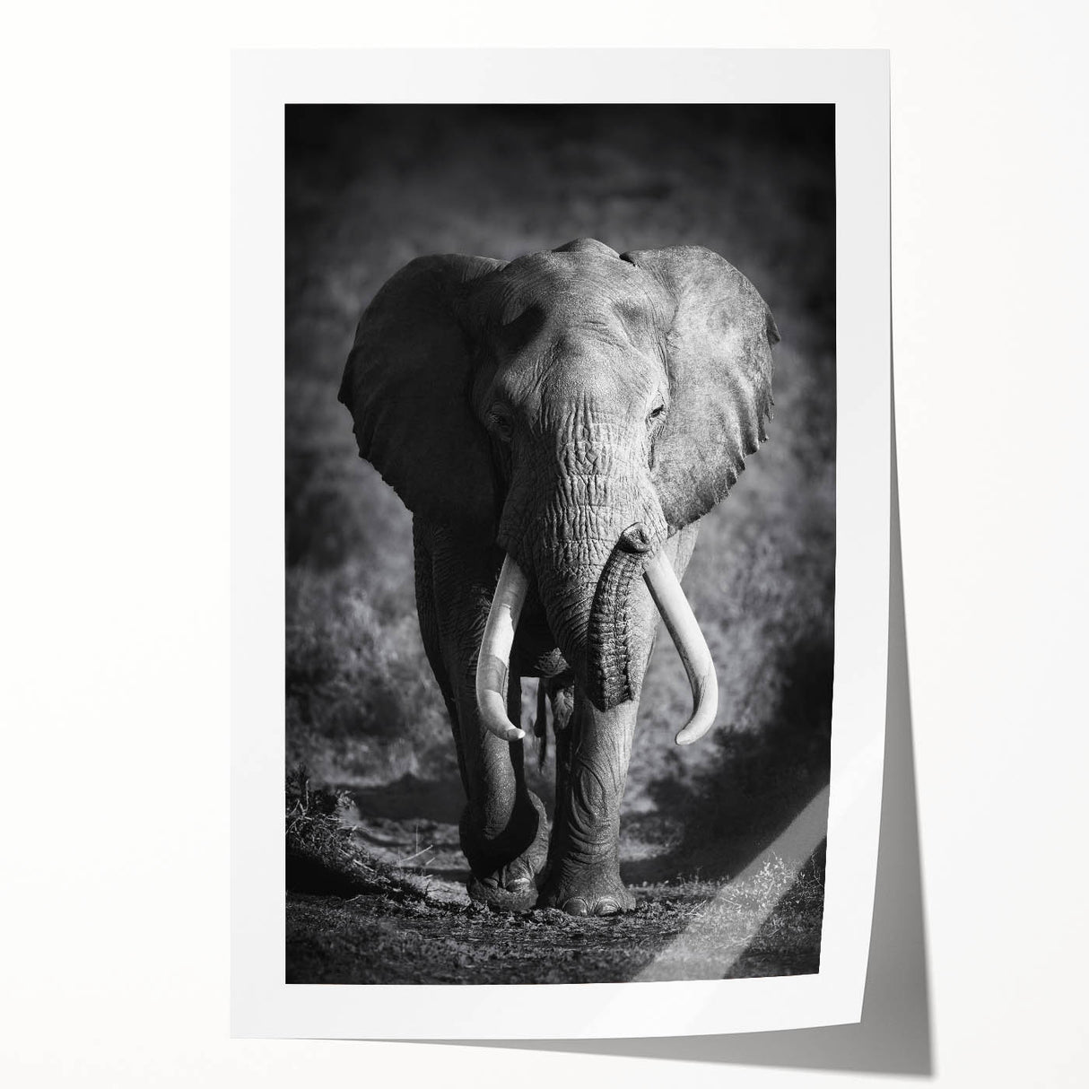Vibrant rolled print featuring an intricate elephant design, showcasing detailed textures and earthy colors, ideal for enhancing home decor with wildlife art.