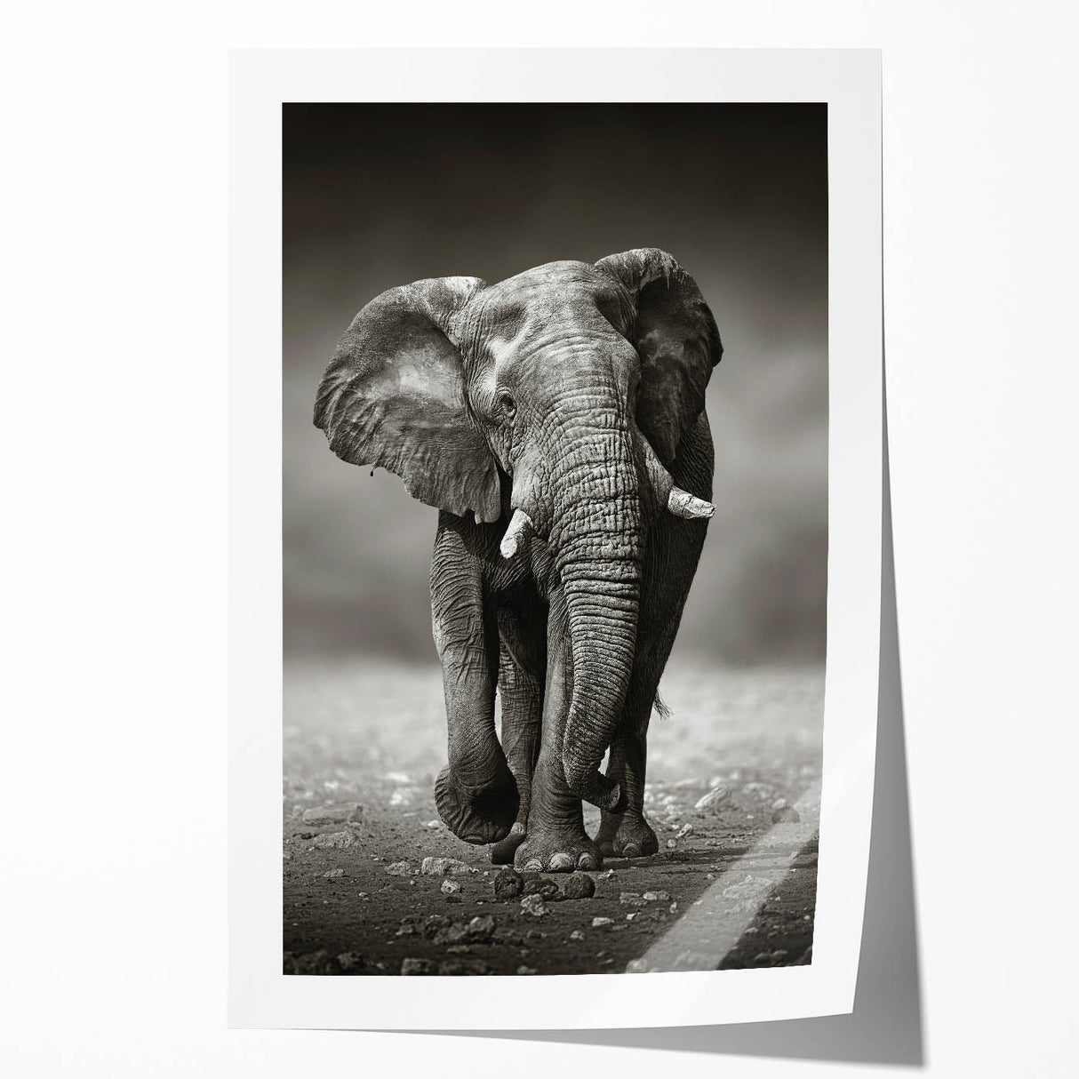 Vibrant elephant-themed wall art print showcasing a colorful, abstract design, perfect for animal lovers and home decor enthusiasts, rolled for easy display.