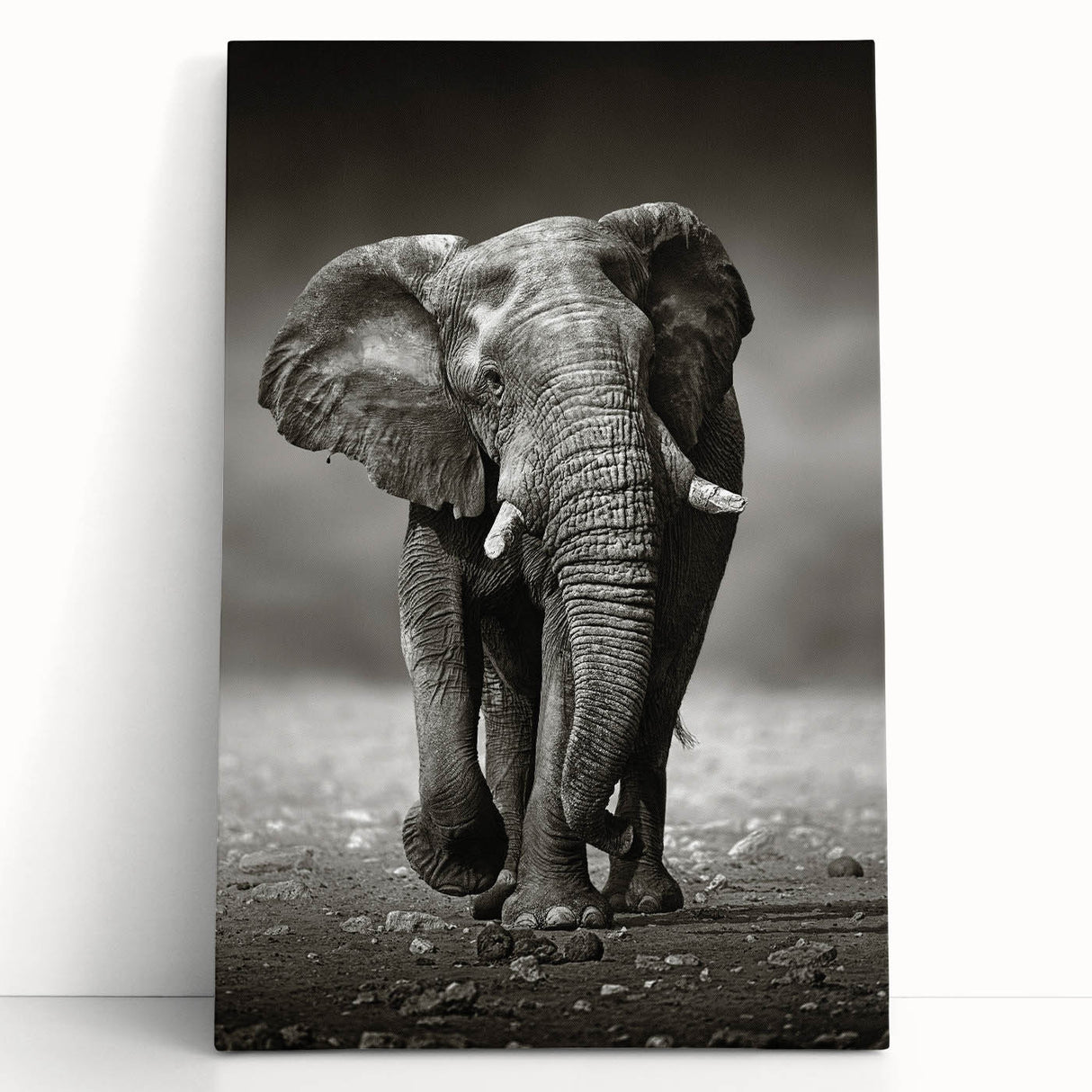 Stretched canvas wall art featuring a majestic African elephant design, showcasing intricate details and vibrant colors, perfect for nature lovers' decor.