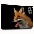 Vibrant acrylic glass wall art depicting a stylized fox design, showcasing intricate details and colors, mounted with pins for easy display in modern decor.