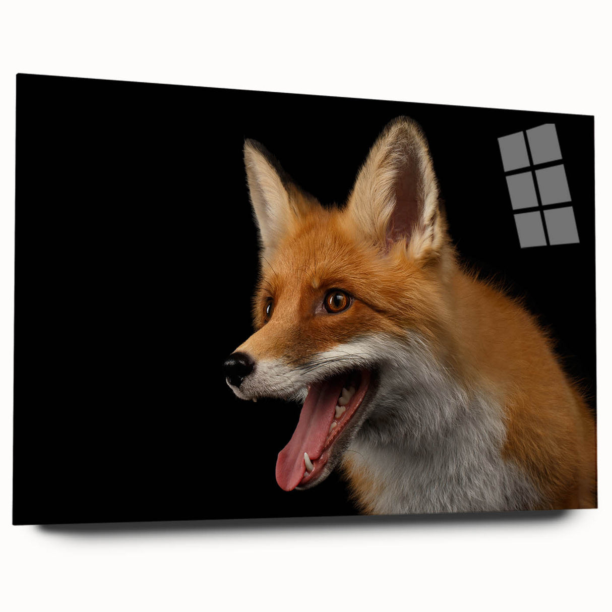 Acrylic glass wall art showcasing a vibrant fox design from the "Animals A Wild Life" collection, displayed from the side without pins, highlighting its sleek edges and colorful details. Ideal for nature-themed decor enthusiasts seeking unique home accents.