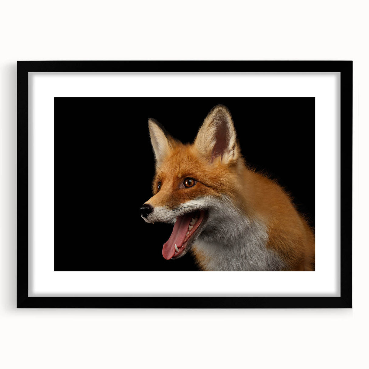 Framed wall art featuring a vibrant fox design against a black mat, showcasing intricate details and rich colors, perfect for wildlife enthusiasts and modern decor.