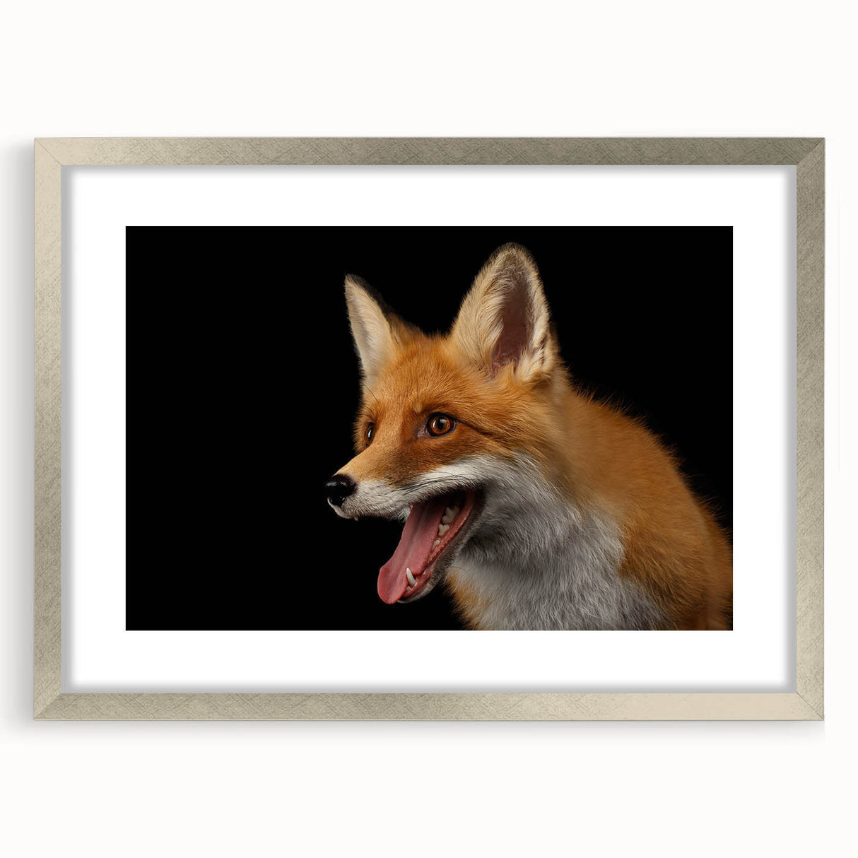 Framed wall art featuring a vibrant fox design, showcasing intricate details and colorful accents, set in a sleek silver frame with a white mat, ideal for nature-themed decor.