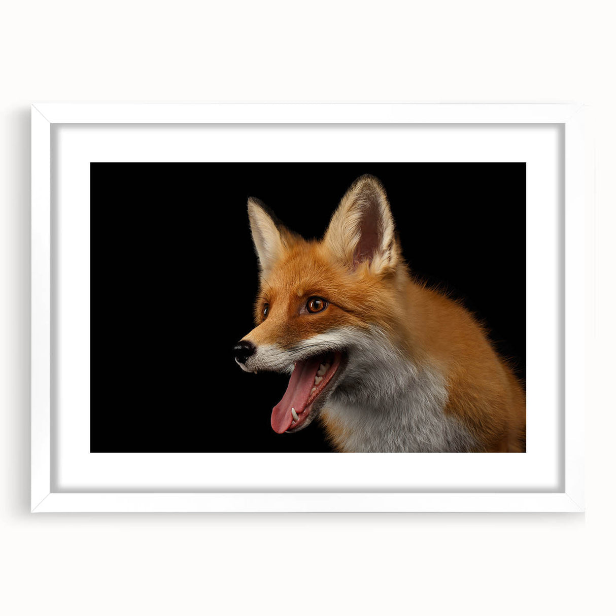 Framed wall art featuring a striking fox design in a white mat, showcasing vibrant colors and intricate details, perfect for animal lovers and home decor enthusiasts.