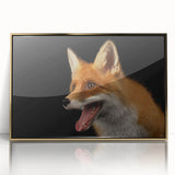 Framed acrylic wall art featuring a striking gold-accented fox design, showcasing vibrant colors and intricate details, perfect for animal lovers and modern decor enthusiasts.