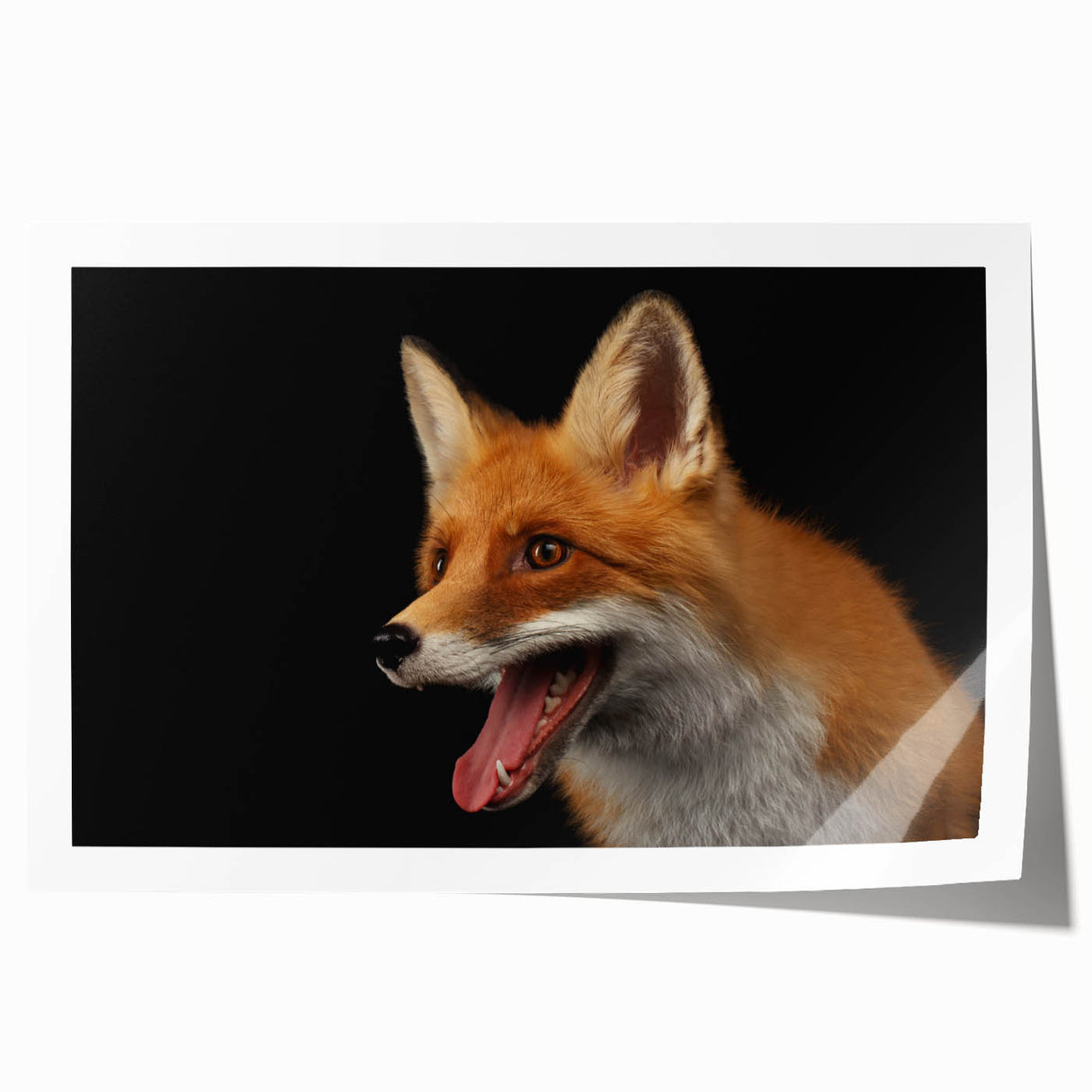 Vibrant rolled wall art print featuring a stylized fox design with intricate details and rich colors, perfect for adding a touch of wildlife decor to any room.