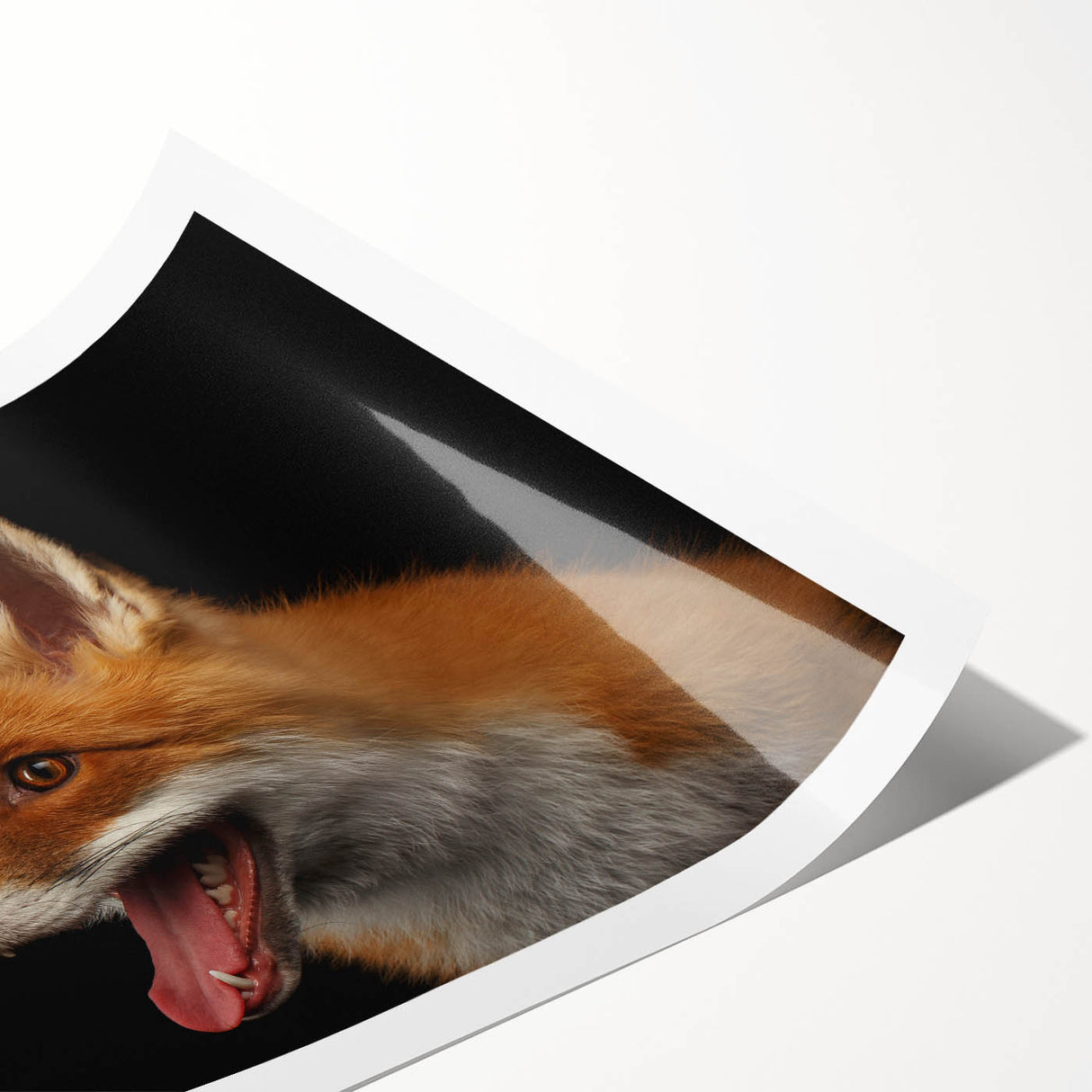 Vibrant fox wall art print showcasing a whimsical design, featuring rich orange and white colors, rolled and ready for framing, perfect for animal lovers.