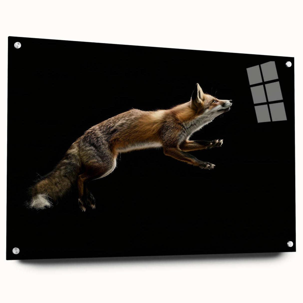 Vibrant acrylic glass wall art featuring a colorful fox design, displayed from a side view with decorative pins, ideal for animal lovers and home decor enthusiasts.