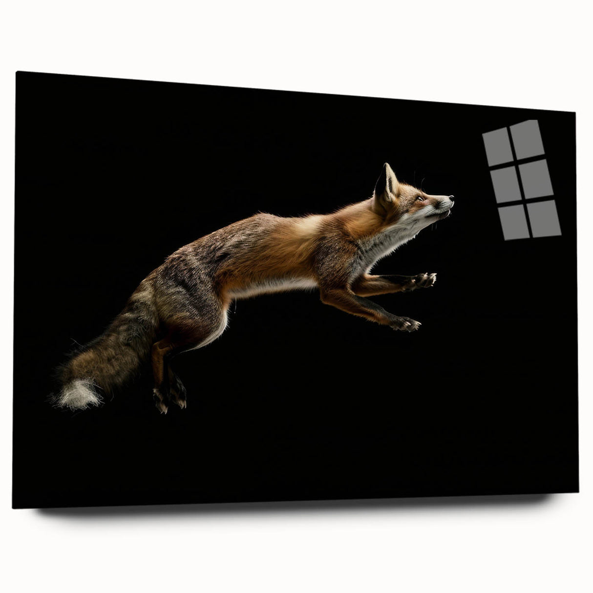 Side view of an acrylic glass wall art piece featuring a detailed fox design from the "Animals a Wild Life" collection, showcasing vibrant colors and intricate details, perfect for animal lovers and home decor enthusiasts.