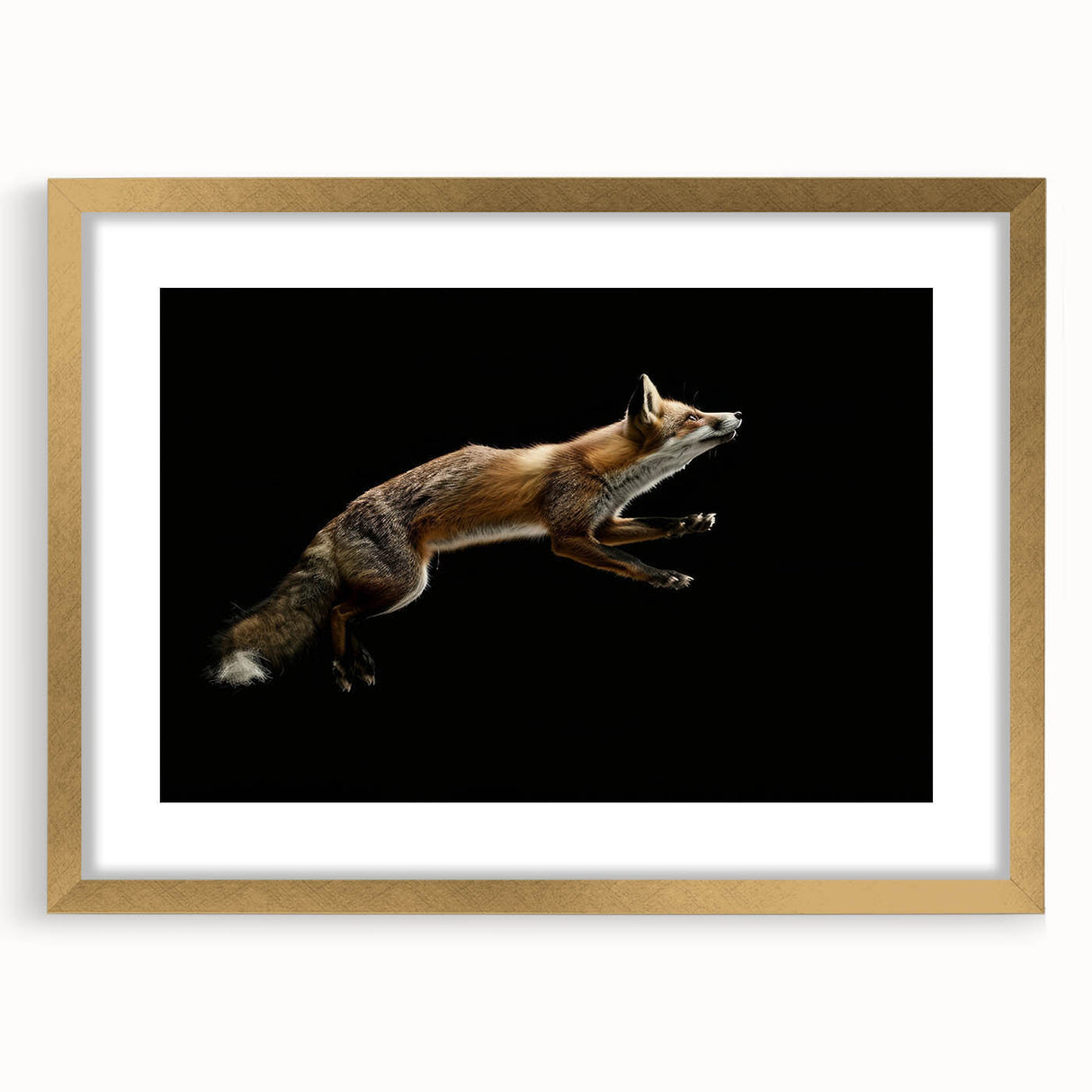 Framed wall art featuring a stylish fox design in vibrant colors, accented with a gold frame and mat, ideal for adding a chic touch to home decor.
