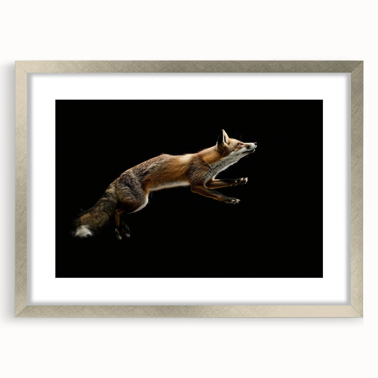 Framed wall art showcasing a vibrant fox design, featuring intricate details and a silver frame with matting, perfect for animal lovers and home decor enthusiasts.
