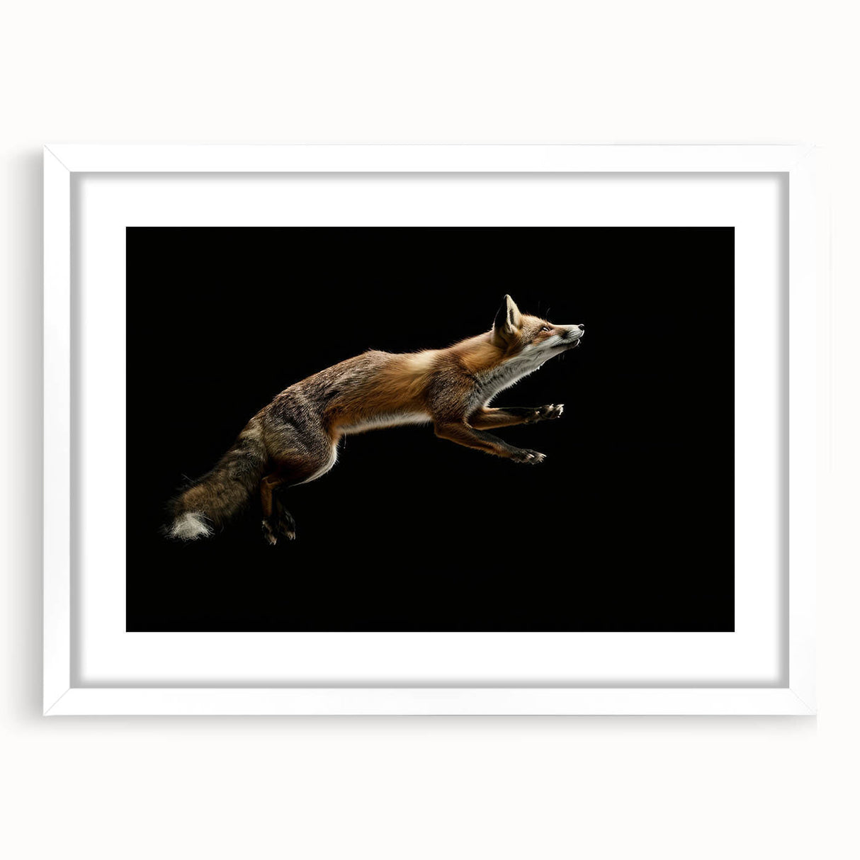 Framed wall art showcasing a vibrant fox design, featuring intricate details and a white mat, perfect for enhancing any wildlife-themed decor.