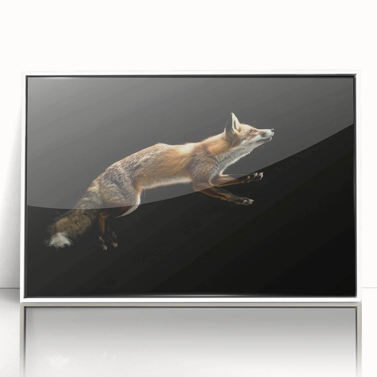 Framed acrylic wall art featuring a striking fox design, set against a white background, perfect for adding a touch of wildlife-inspired decor to any room.