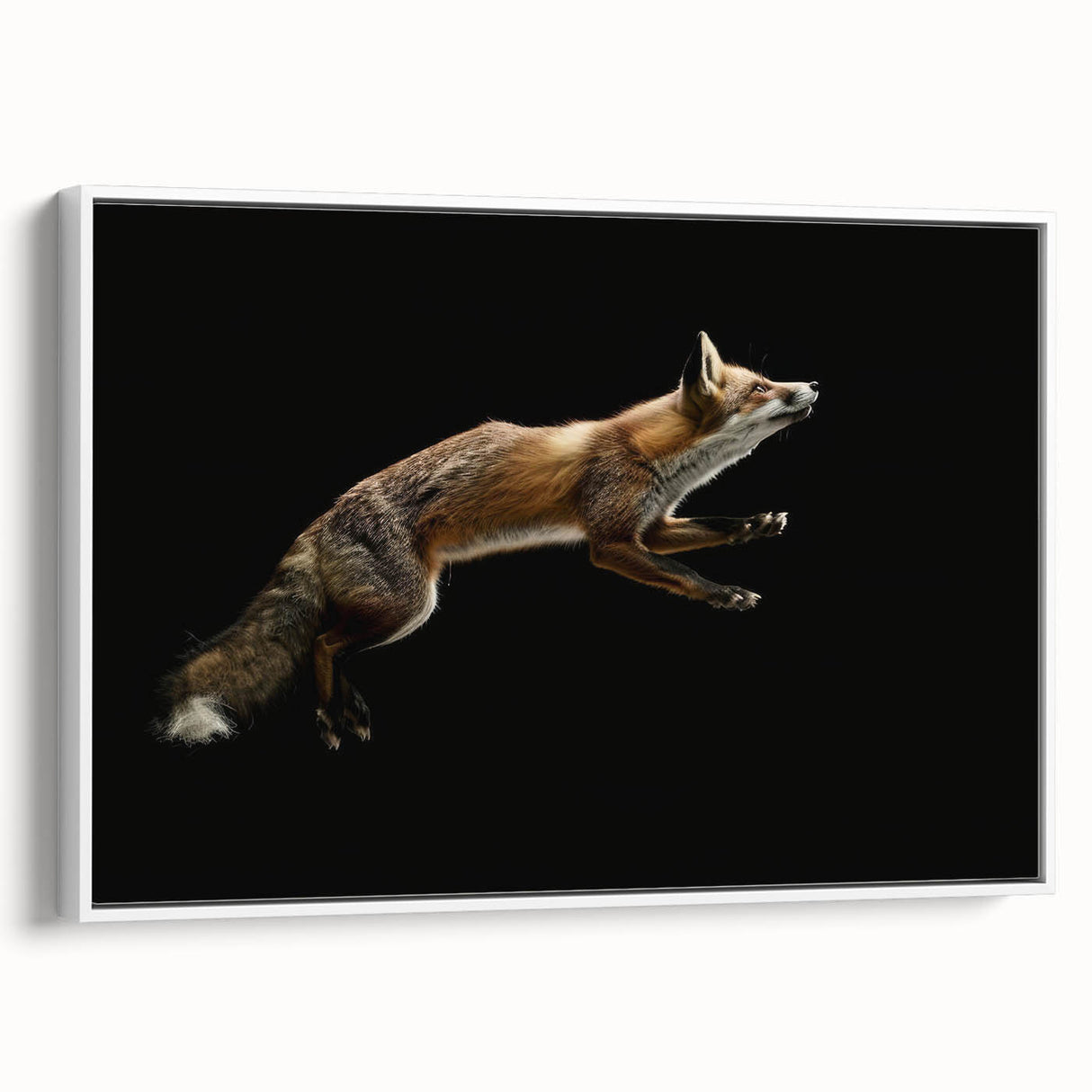 Framed wall art showcasing a stylized fox design on a white background, elevating modern home decor with its vibrant colors and artistic flair. Ideal for animal lovers and contemporary interior settings.